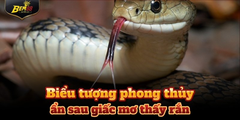 Mơ thấy rắn cho thấy nhiều chuyện đang dần thay da đổi thịt