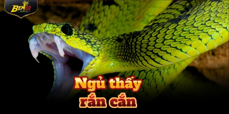 Mơ thấy rắn cắn nhưng lại là điềm lành