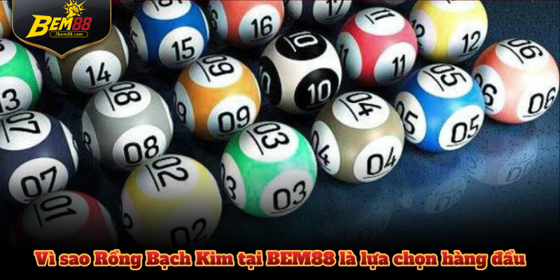 Vì sao Rồng Bạch Kim tại BEM88 là lựa chọn hàng đầu